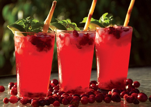 Cranberry_Mojito21