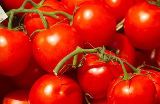 Red-Tomatoes1