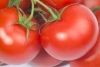 Przepis