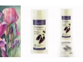 Bentley Organic Szampon do Włosów Normalnych i Suchych z Lawendą, Aloesem i Jojobą. Cena: 25,93 zł/250 ml. http://www.ekostrefa.pl/?page=shop&run=det&str=2&id=1747