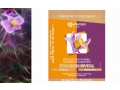 MINCER PEELINGI I MASECZKI HYALURON REVITAL GŁĘBOKIE OCZYSZCZENIE Storczyk, Fitocomplex, Mandarynka japońska. Cena: 3,30 zł/2x6 ml. http://www.kosmetykieko.com.pl/kosmetyki-dla-pa-/1257-mincer-peelingi-i-maseczki-hyaluron-revital-glebokie-oczyszczenie-sto