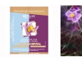 MINCER PEELINGI I MASECZKI HYALURON REVITAL DERMABRAZJA ENZYMATYCZNA Storczyk, Folic Acid, Płynne Złoto Maroka. Cena: 3,30 zł/2x6 ml. http://www.kosmetykieko.com.pl/kosmetyki-dla-pa-/1256-mincer-peelingi-i-maseczki-hyaluron-revital-dermabrazja-enzymatyczn