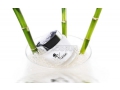 Viviean - Bioregenera Lift Mask. Maska liftingująco-regeneracyjna o działaniu napinającym na twarz i skórę wokół oczu. http://www.abacosun.pl/sklep/324,Bioregenera_Lift_Mask 