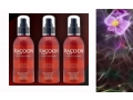 Spray Racoon XTEND Everyday Conditioner. Cena: 38,00 zł. Odżywka do codziennego odświeżenia i 
