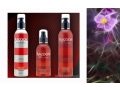Zestaw Pielęgnacyjny XTEND - Szampon + Odżywka + Spray. Cena: 108,90 zł. http://sklep.racoon.pl/Zestaw_Pielegnacyjny_XTEND_Szampon__Odzywka__Spray-246.html  
