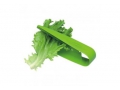 http://www.myin.pl/nozyce-do-salaty-leafsheers,304.html
