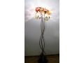 http://www.bloomlight.pl/9,52,pl,produkt.html
