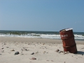 Dzika plaża