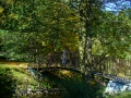 jesień w ogrodzie botanicznym