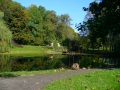 jesień w ogrodzie botanicznym