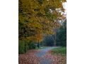 jesień w ogrodzie botanicznym