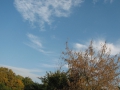 jesień w ogrodzie botanicznym