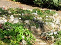 jesień w ogrodzie botanicznym