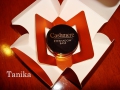 http://dobredlaurody.blogspot.com/2012/01/dotyk-caszmiru-dla-twoich-powiek.html