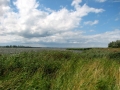 kamień pomorski