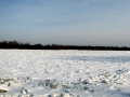 wycieczka nad Wisłę