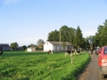 Krówki