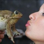 Kiss_toad
