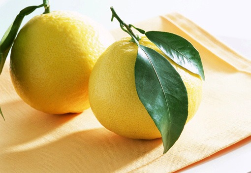 Lemon-Wallpaper-fruit-6334028-1024-7681