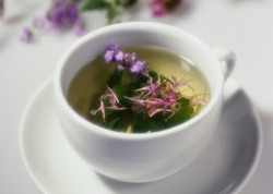green_tea1