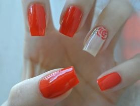 Zestaw do paznokci Lady’s Nails Cosmetics – opinia blogerki