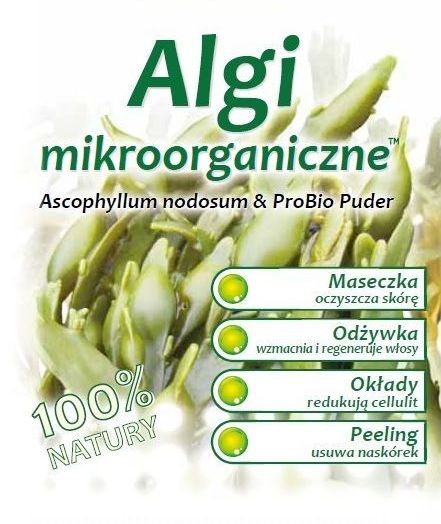 Algi01