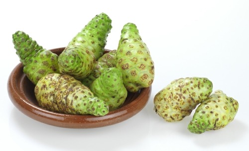 Noni 500x304