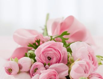 roses_bouquet_congratulations