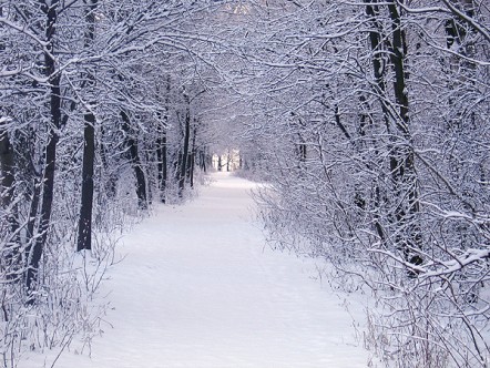 Pielęgnacja skóry zimą