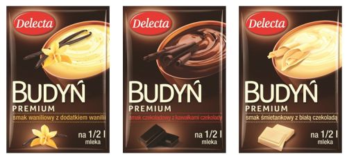 PREMIUM_budyn Delecta_mix smakow