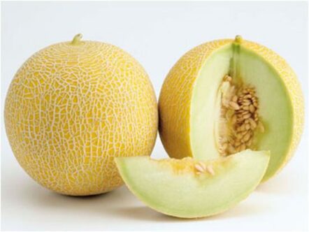 melon-fruit