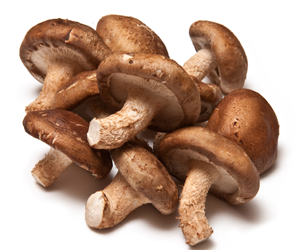 Health-benefits-of-Shiitake-Mushroom-300x250