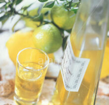 B46W62 Limoncello (home-made lemon liqueur), Campania, Italy