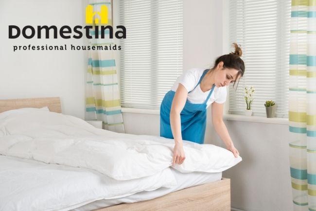 domestina_1_lg