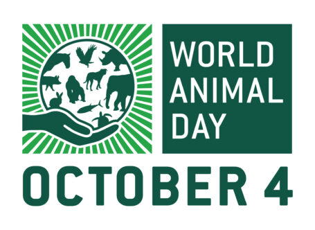World-Animal-Day-October-4-Wishes-HD-Wallpaper