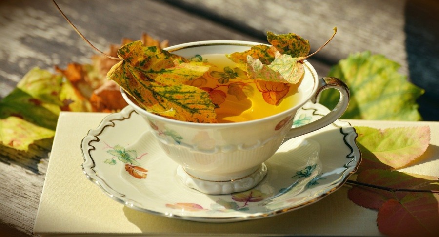 herbatka jesienna