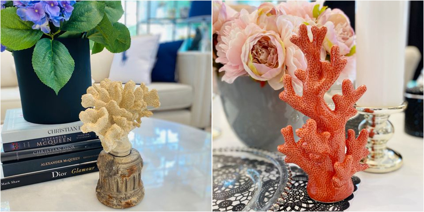 dekoracje koralowiec