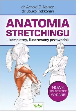 anatomia stretchingu