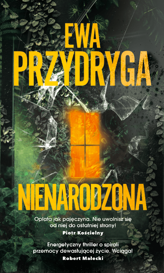 Nienarodzona książka