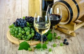 Winiarski region Marlborough – dlaczego warto go poznać?