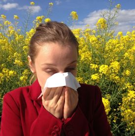 Alergia sezonowa nie daje ci spokoju? Oto kilka kroków jak ją złagodzić