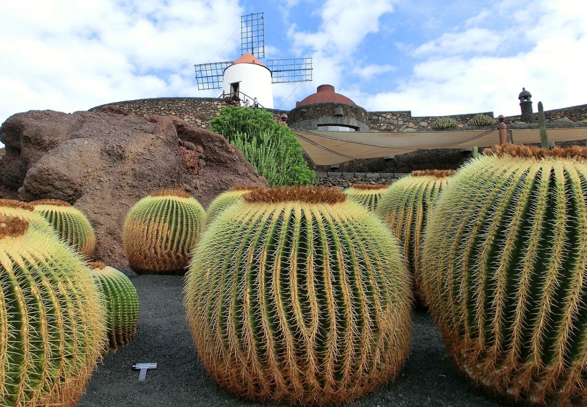 Wyspa Lanzarote