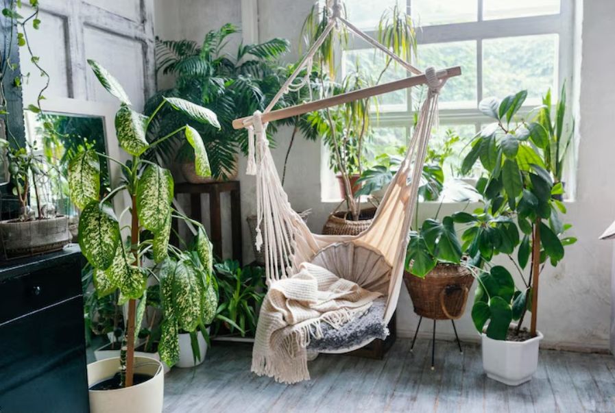 Zielono mi w mieszkaniu. Urban jungle czy roślinny minimalizm?