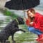 Meteopatia – fakty i&nbsp;mity. Jak naprawdę pogoda wpływa na nasze samopoczucie?