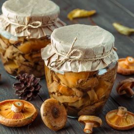 Fermentowane grzyby – jesienny hit, który zachwyca smakiem i wspiera zdrowie