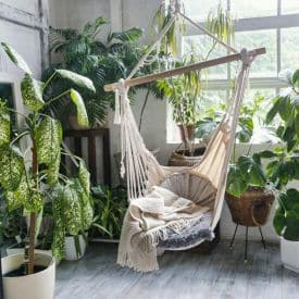 Biophilia w domu – jak wprowadzić naturę do jesiennych wnętrz