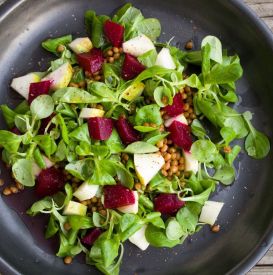 Czy buraki są zdrowe? Poznaj moc naturalnego superfood i top 4 sałatki z buraka