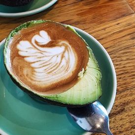 Avolatte – kawa w awokado, która podbiła świat. Nowy hit z Indonezji