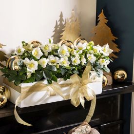 Kwiaty i dekoracje na wigilijnym stole – jak stworzyć magię świąt w kilku prostych krokach