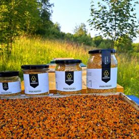 Pyłek pszczeli – naturalna bomba witamin i minerałów. Jak działa i jak go stosować?